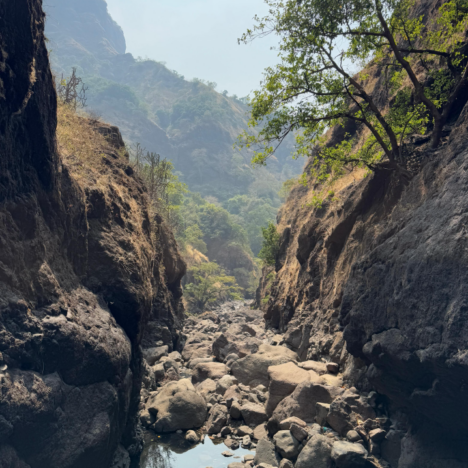 Into the Arms of Nature – Rajahatta Village, Darjeeling